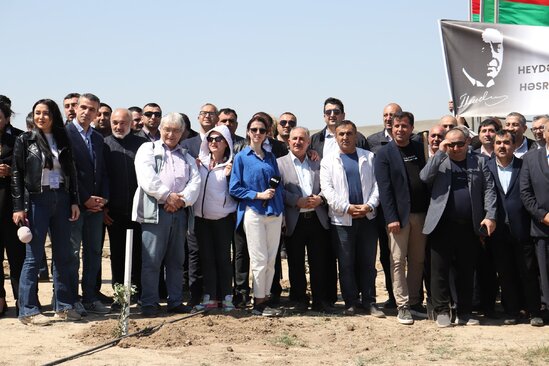 Media nümayəndələrinin iştirakı ilə ağacəkmə aksiyası keçirildi - FOTO