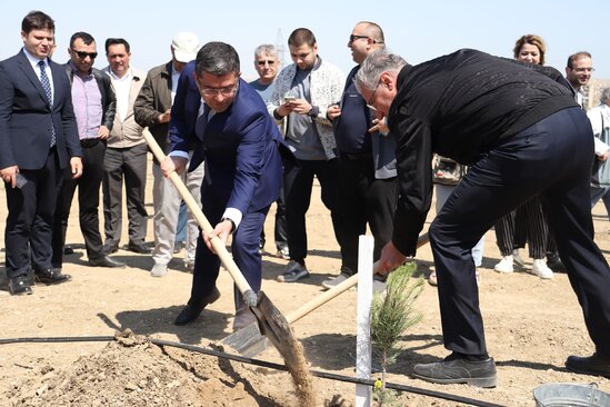 Media nümayəndələrinin iştirakı ilə ağacəkmə aksiyası keçirildi - FOTO