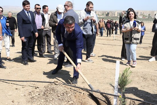 Media nümayəndələrinin iştirakı ilə ağacəkmə aksiyası keçirildi - FOTO