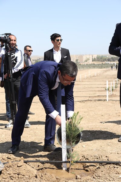 Media nümayəndələrinin iştirakı ilə ağacəkmə aksiyası keçirildi - FOTO
