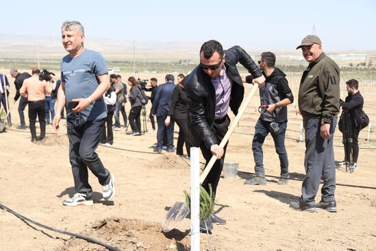 Media nümayəndələrinin iştirakı ilə ağacəkmə aksiyası keçirildi - FOTO