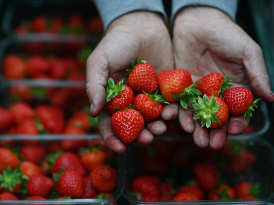 Azərbaycanlı müğənninin başına iş gəldi - Çiyələkdən üzü və bədəni şişdi - VİDEO