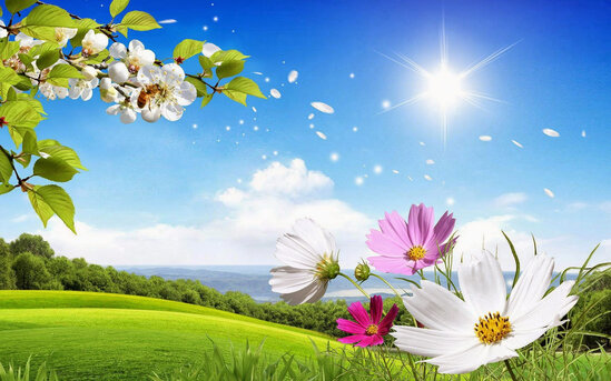 Sabah 25° isti olacaq