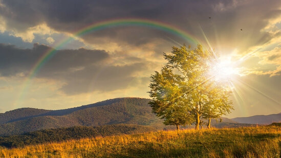 İstirahət günlərində hava necə olacaq?