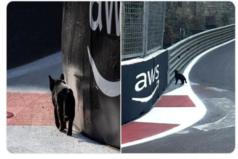 Bakıda "Formula 1" sürücüsü yarış zamanı PİŞİYİ BELƏ XİLAS ETDİ - VİDEO