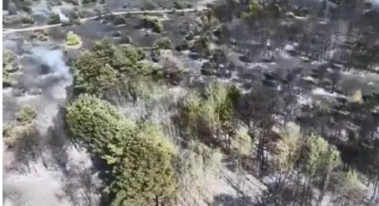 Ukraynada meşə massivində güclü yanğın oldu