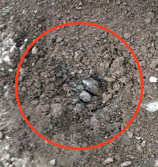 Ermənistan silahlı qüvvələri Azərbaycana qarşı döyüş PUA-ları tətbiq edib - FOTO