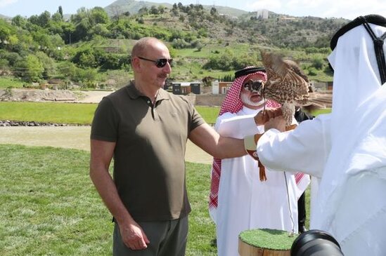 Laçında Şərqi Qafqaz turları və şahin quşları təbiətə, müxtəlif növ balıqlar Həkəri çayına buraxılıb - FOTO