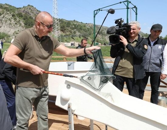 Laçında Şərqi Qafqaz turları və şahin quşları təbiətə, müxtəlif növ balıqlar Həkəri çayına buraxılıb - FOTO