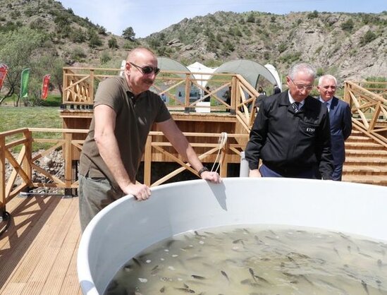 Laçında Şərqi Qafqaz turları və şahin quşları təbiətə, müxtəlif növ balıqlar Həkəri çayına buraxılıb - FOTO