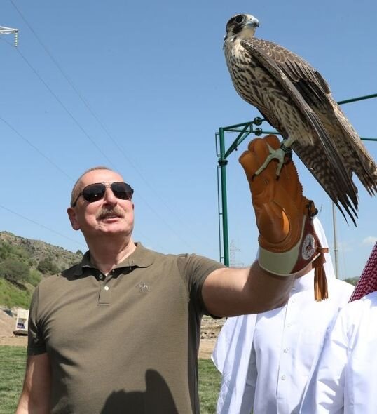 Laçında Şərqi Qafqaz turları və şahin quşları təbiətə, müxtəlif növ balıqlar Həkəri çayına buraxılıb - FOTO