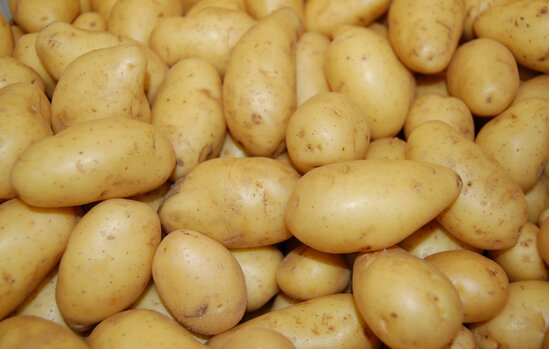 Kartofun məhsuldarlığı artıb, qiyməti UCUZLAŞIB - VİDEO