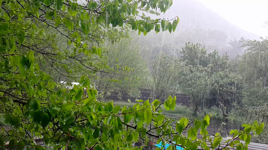 Balakənə 45 mm yağıntı düşüb, bəzi çaylardan sel keçib - Faktiki hava