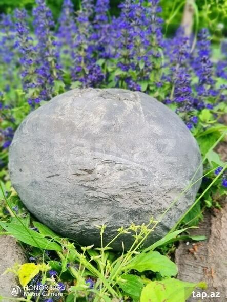 Azərbaycanda 100 min manata kometa satılır - FOTO