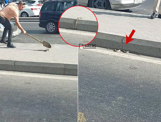 Bakıda küçədə ilan peyda oldu - VİDEO