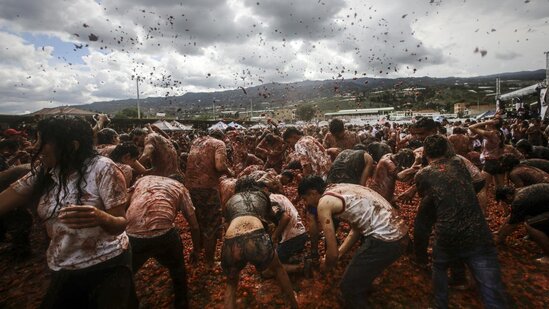 Festivalda 40 ton pomidoru bir-birinə atdılar - Fotolar