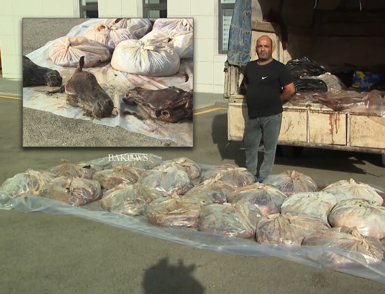 DİN və AQTA-dan birgə əməliyyat: Ölü at əti satan saxlanıldı - FOTO/VİDEO