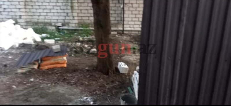 Qazaxda Əliağa Şıxlinski küçəsində növbəti "Yaşıl terror" - İcra başçısı hara baxır?