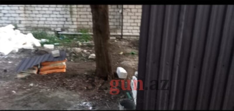 Qazaxda Əliağa Şıxlinski küçəsində növbəti "Yaşıl terror" - İcra başçısı hara baxır?