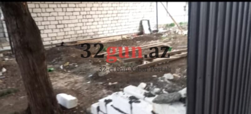 Qazaxda Əliağa Şıxlinski küçəsində növbəti "Yaşıl terror" - İcra başçısı hara baxır?