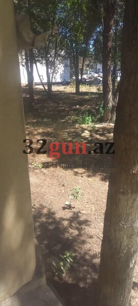 Qazaxda Əliağa Şıxlinski küçəsində növbəti "Yaşıl terror" - İcra başçısı hara baxır?