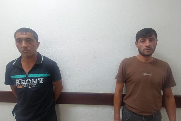 Şəmkirdə narkotik saxlamaqda və yetişdirməkdə şübhəli bilinən şəxslər saxlanılıblar - FOTO