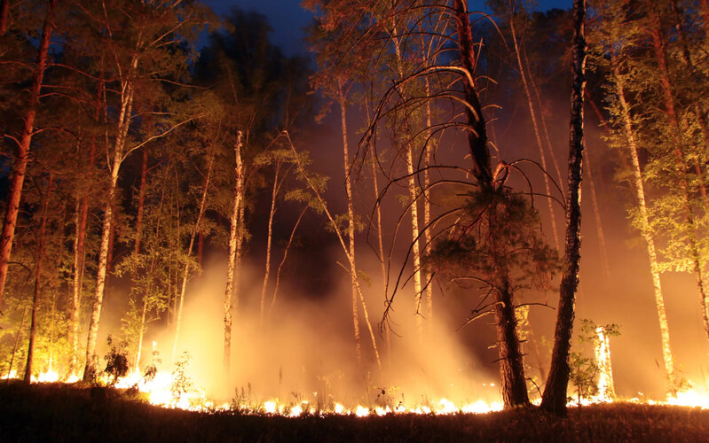 Bu rayonlarda yanğın indeksi yüksəkdir - XƏBƏRDARLIQ