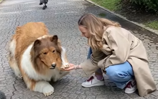 İt kimi görünmək üçün bunu etdi - Video