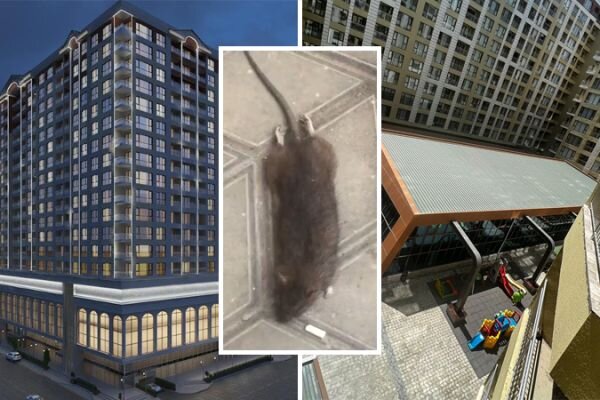 Siçovulların oynağı "Park Azure"dan müharibə veteranının anasına qarşı HÖRMƏTSİZLİK - FOTO