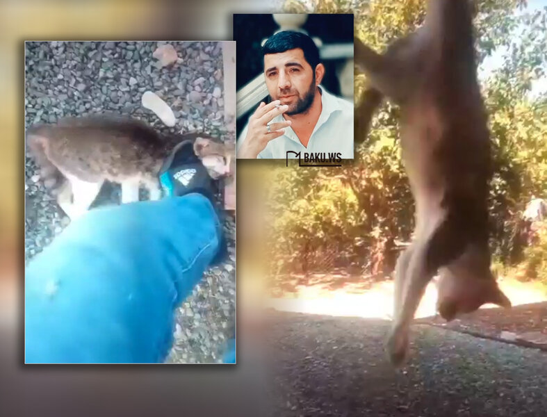 Polis pişiyə işgəncə verib "TikTok"da paylaşan şəxsi saxladı - Ürəyi zəif olanlar baxmasın - VİDEO