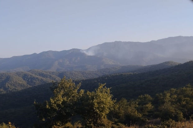 Psixoloji problemi olan şəxs Cəlilabadda meşəyə od vurub