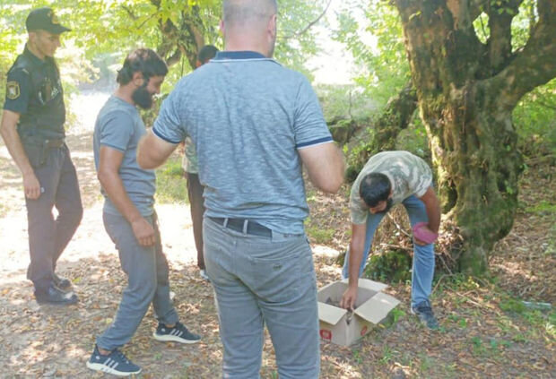 Zaqatalada kirpi ovlayanlar saxlanılıblar