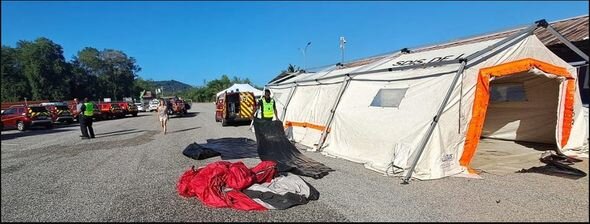 Qatil arılar turistlərə hücum etdi: Ölən var - FOTO