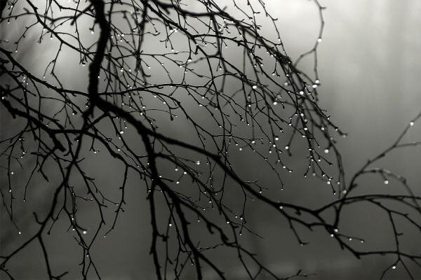 Bu tarixdən hava kəskin dəyişəcək - XƏBƏRDARLIQ