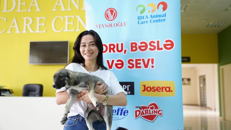 "Veysəloğlu Distribusiya" şirkəti sahibsiz heyvanları ziyarət edib