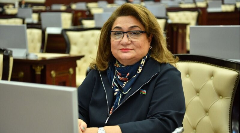 "Azərbaycanda narkomanların sayı hələ də çoxdur" - MM-in Komitə sədri