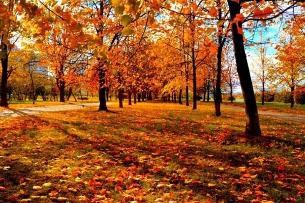 Sabahın hava proqnozu