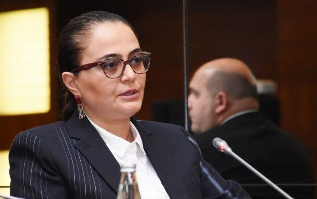 Səadət Yusifova: "İşğaldan azad olunmuş ərazilərdə abidələrin monitorinqini yekunlaşdırmaq çətindir"