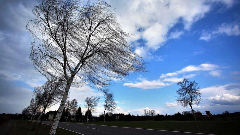 Bəzi yerlərdə yağış yağıb, külək arabir güclənib - FAKTİKİ HAVA