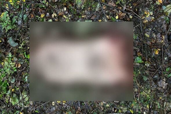 DƏHŞƏT! Ata oğlunu doğrayıb, elə bir şey etdi ki...