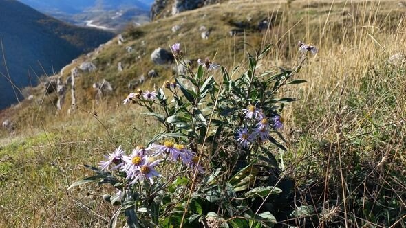 Dağlar gözəli Şuşanın payız mənzərələri - FOTO