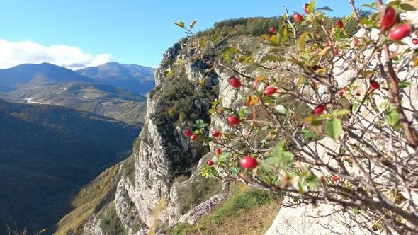 Dağlar gözəli Şuşanın payız mənzərələri - FOTO