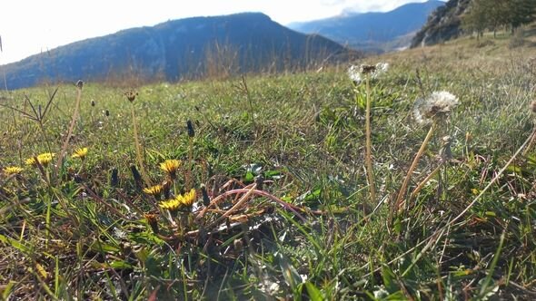 Dağlar gözəli Şuşanın payız mənzərələri - FOTO