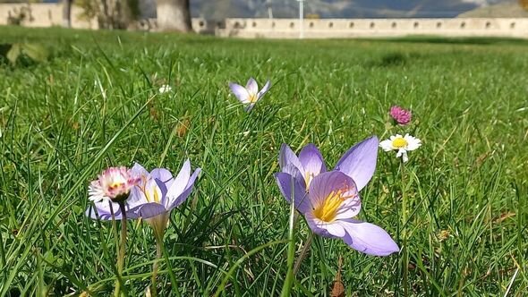 Dağlar gözəli Şuşanın payız mənzərələri - FOTO