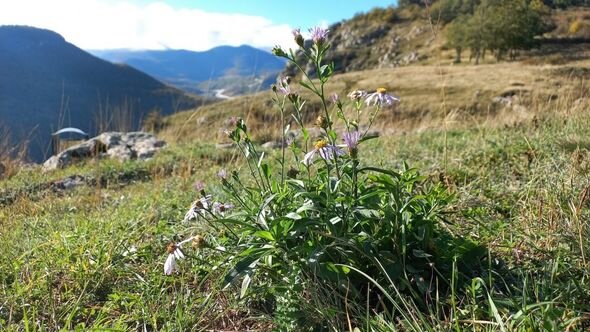 Dağlar gözəli Şuşanın payız mənzərələri - FOTO