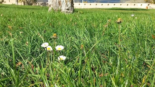 Dağlar gözəli Şuşanın payız mənzərələri - FOTO