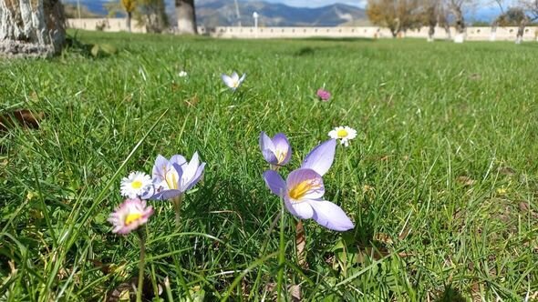 Dağlar gözəli Şuşanın payız mənzərələri - FOTO