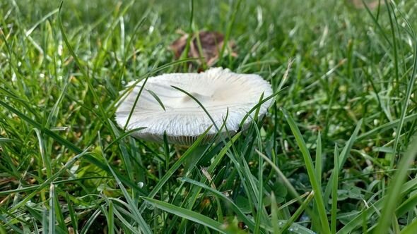 Dağlar gözəli Şuşanın payız mənzərələri - FOTO