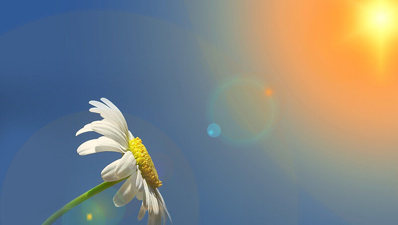 Sabah 26 dərəcə isti olacaq