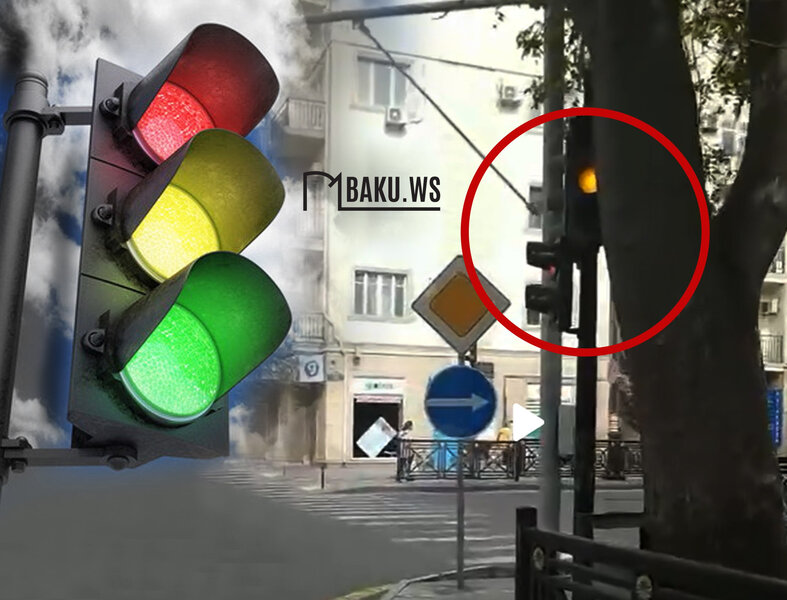 Paytaxtda ağaclar arxasında gizlədilən svetofor sürücüləri çaş-baş salır - FOTO - AÇIQLAMA - YENİLƏNİB